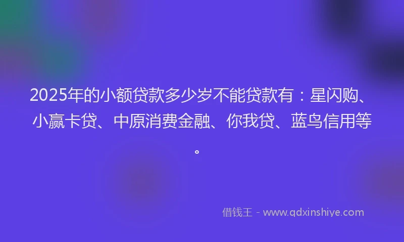 2025年的小额贷款多少岁不能贷款有：星闪购、小赢卡贷、中原消费金融、你我贷、蓝鸟信用等。