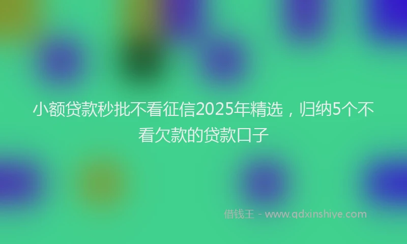 小额贷款秒批不看征信2025年精选，归纳5个不看欠款的贷款口子