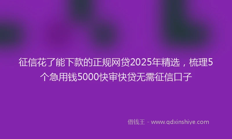 征信花了能下款的正规网贷2025年精选，梳理5个急用钱5000快审快贷无需征信口子