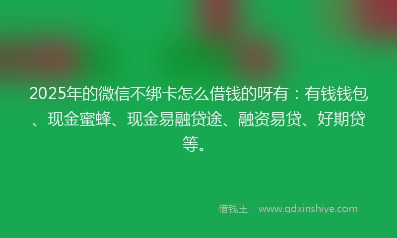2025年的微信不绑卡怎么借钱的呀有：有钱钱包、现金蜜蜂、现金易融贷途、融资易贷、好期贷等。