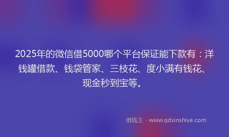 2025年的微信借5000哪个平台保证能下款有：洋钱罐借款、钱袋管家、三枝花、度小满有钱花、现金秒到宝等。