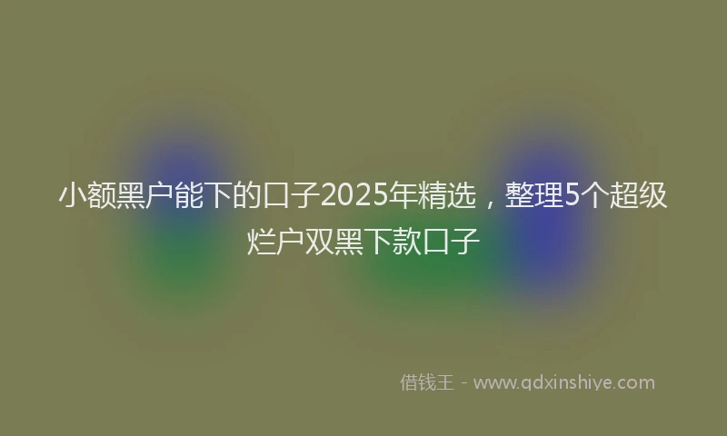 小额黑户能下的口子2025年精选，整理5个超级烂户双黑下款口子
