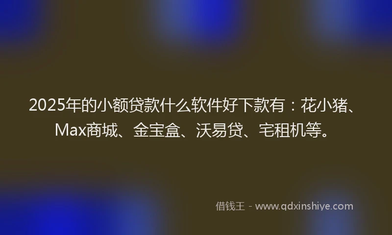 2025年的小额贷款什么软件好下款有：花小猪、Max商城、金宝盒、沃易贷、宅租机等。