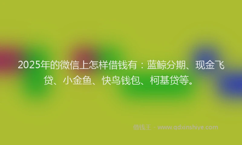 2025年的微信上怎样借钱有：蓝鲸分期、现金飞贷、小金鱼、快鸟钱包、柯基贷等。