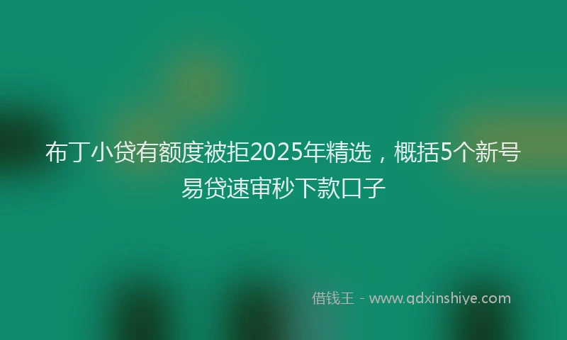 布丁小贷有额度被拒2025年精选，概括5个新号易贷速审秒下款口子