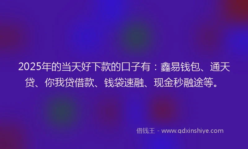 2025年的当天好下款的口子有：鑫易钱包、通天贷、你我贷借款、钱袋速融、现金秒融途等。