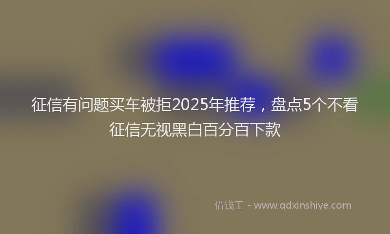 征信有问题买车被拒2025年推荐，盘点5个不看征信无视黑白百分百下款