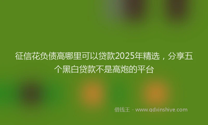 征信花负债高哪里可以贷款2025年精选，分享五个黑白贷款不是高炮的平台