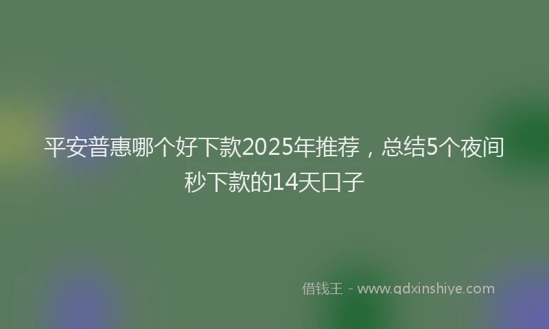 平安普惠哪个好下款2025年推荐，总结5个夜间秒下款的14天口子