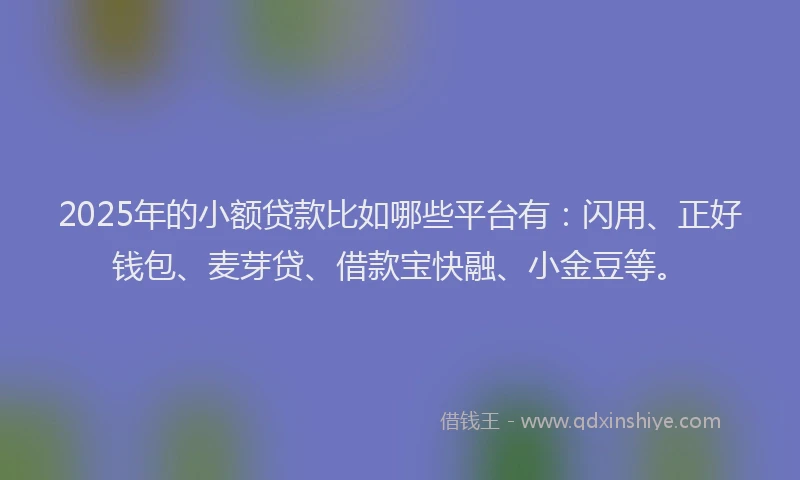 2025年的小额贷款比如哪些平台有：闪用、正好钱包、麦芽贷、借款宝快融、小金豆等。