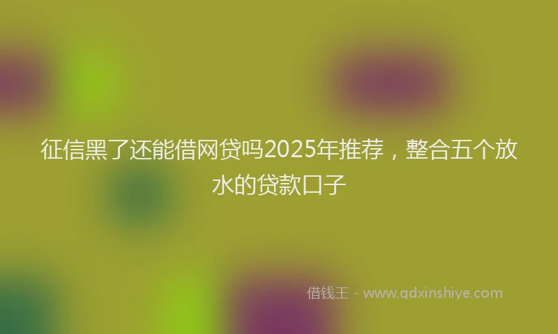 征信黑了还能借网贷吗2025年推荐，整合五个放水的贷款口子