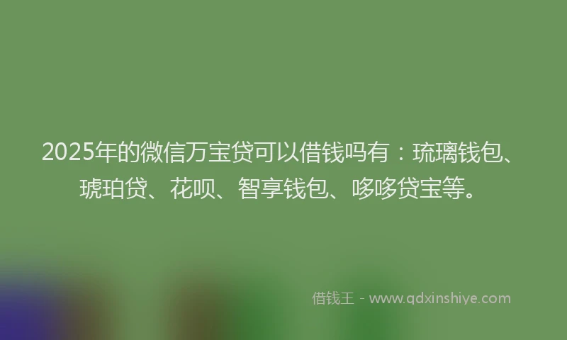 2025年的微信万宝贷可以借钱吗有：琉璃钱包、琥珀贷、花呗、智享钱包、哆哆贷宝等。