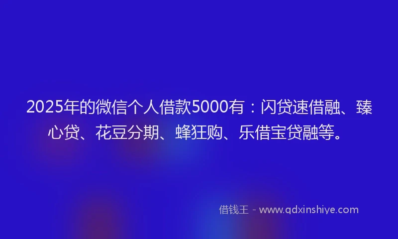 2025年的微信个人借款5000有：闪贷速借融、臻心贷、花豆分期、蜂狂购、乐借宝贷融等。