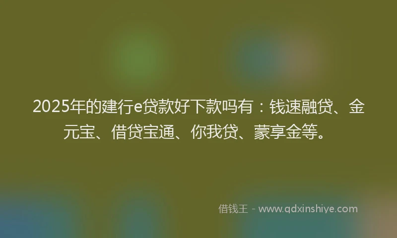 2025年的建行e贷款好下款吗有：钱速融贷、金元宝、借贷宝通、你我贷、蒙享金等。