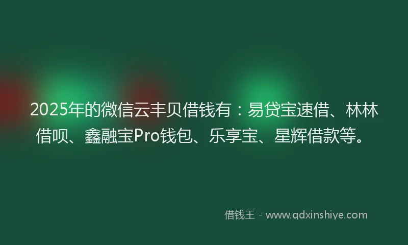 2025年的微信云丰贝借钱有：易贷宝速借、林林借呗、鑫融宝Pro钱包、乐享宝、星辉借款等。