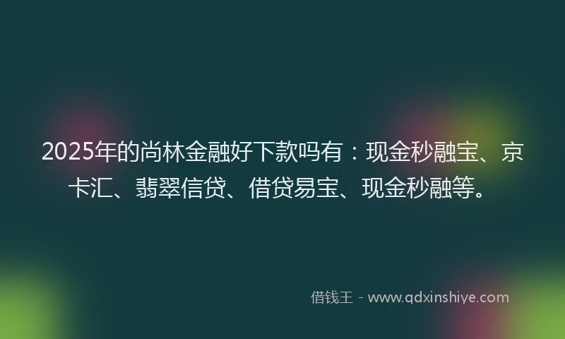 2025年的尚林金融好下款吗有：现金秒融宝、京卡汇、翡翠信贷、借贷易宝、现金秒融等。