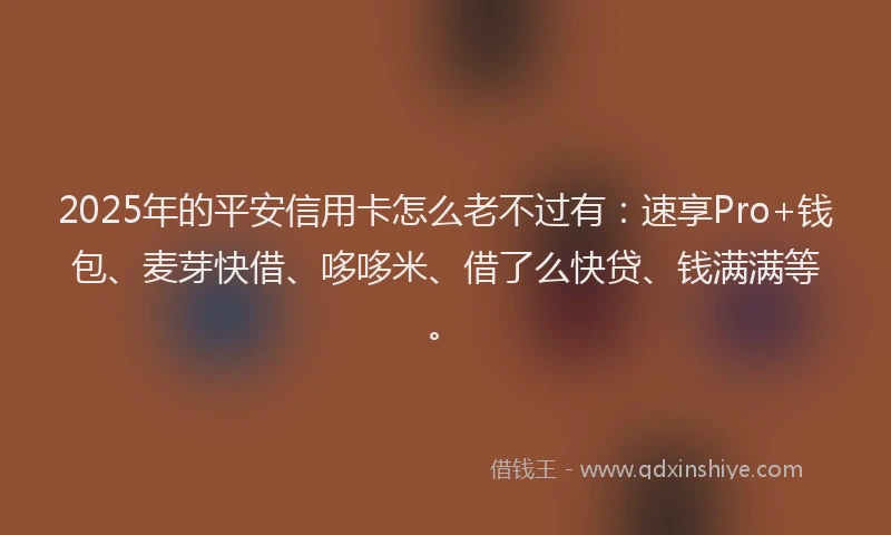 2025年的平安信用卡怎么老不过有：速享Pro+钱包、麦芽快借、哆哆米、借了么快贷、钱满满等。