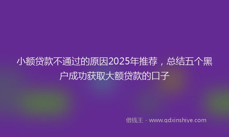 小额贷款不通过的原因2025年推荐，总结五个黑户成功获取大额贷款的口子