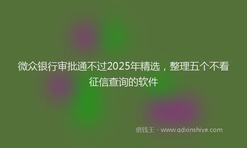 微众银行审批通不过2025年精选，整理五个不看征信查询的软件
