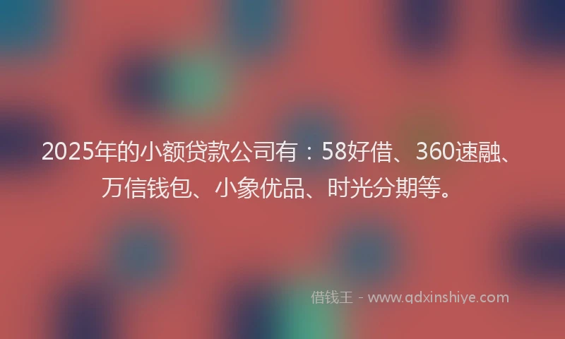 2025年的小额贷款公司有：58好借、360速融、万信钱包、小象优品、时光分期等。