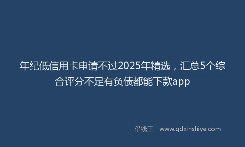 年纪低信用卡申请不过2025年精选，汇总5个综合评分不足有负债都能下款app