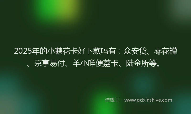 2025年的小鹅花卡好下款吗有：众安贷、零花罐、京享易付、羊小咩便荔卡、陆金所等。