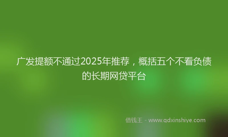 广发提额不通过2025年推荐，概括五个不看负债的长期网贷平台