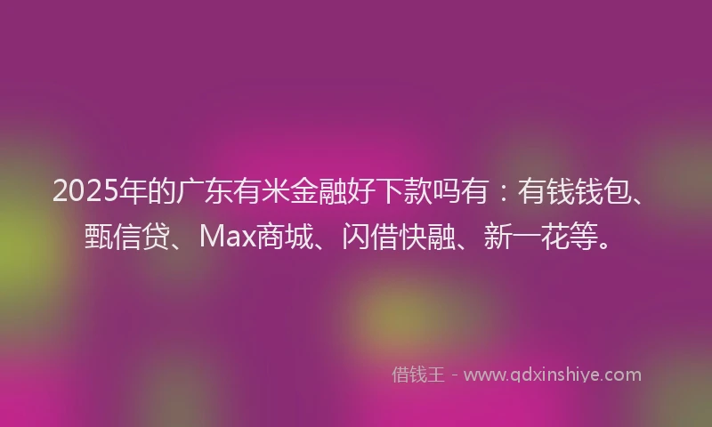 2025年的广东有米金融好下款吗有：有钱钱包、甄信贷、Max商城、闪借快融、新一花等。