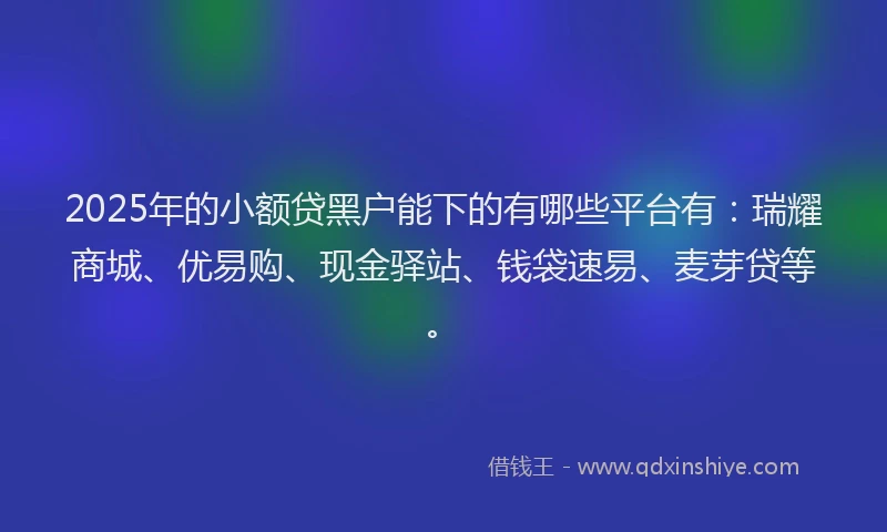 2025年的小额贷黑户能下的有哪些平台有：瑞耀商城、优易购、现金驿站、钱袋速易、麦芽贷等。