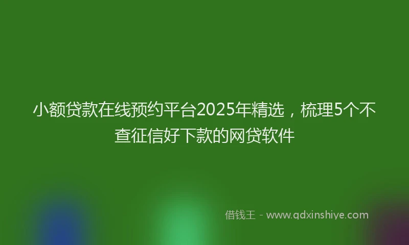 小额贷款在线预约平台2025年精选，梳理5个不查征信好下款的网贷软件