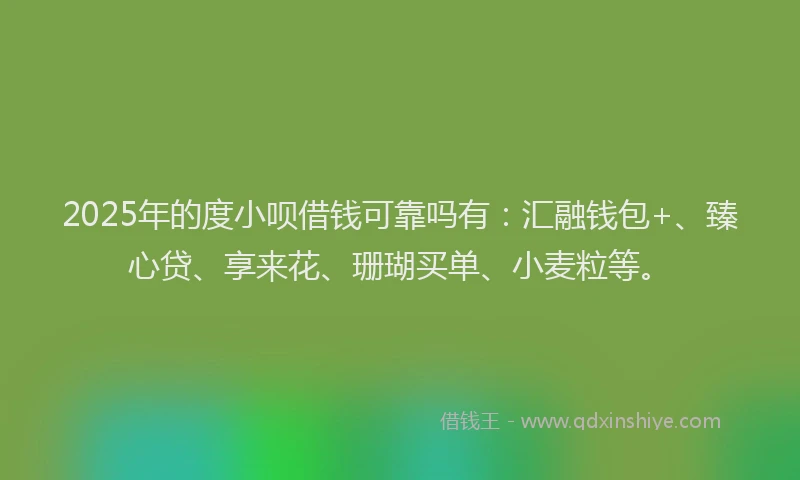 2025年的度小呗借钱可靠吗有：汇融钱包+、臻心贷、享来花、珊瑚买单、小麦粒等。