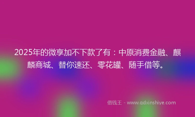 2025年的微享加不下款了有：中原消费金融、麒麟商城、替你速还、零花罐、随手借等。