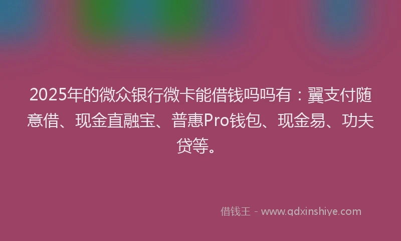 2025年的微众银行微卡能借钱吗吗有：翼支付随意借、现金直融宝、普惠Pro钱包、现金易、功夫贷等。