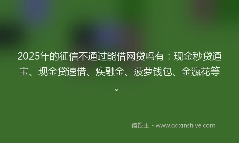 2025年的征信不通过能借网贷吗有：现金秒贷通宝、现金贷速借、疾融金、菠萝钱包、金瀛花等。
