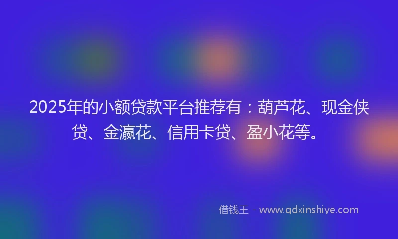 2025年的小额贷款平台推荐有：葫芦花、现金侠贷、金瀛花、信用卡贷、盈小花等。