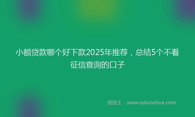 小额贷款哪个好下款2025年推荐，总结5个不看征信查询的口子