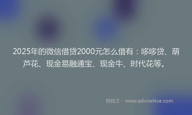 2025年的微信借贷2000元怎么借有：哆哆贷、葫芦花、现金易融通宝、现金牛、时代花等。