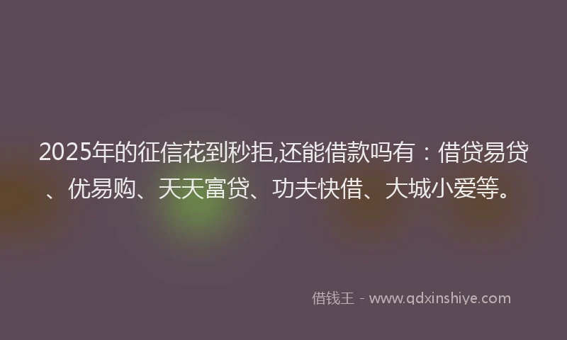2025年的征信花到秒拒,还能借款吗有：借贷易贷、优易购、天天富贷、功夫快借、大城小爱等。