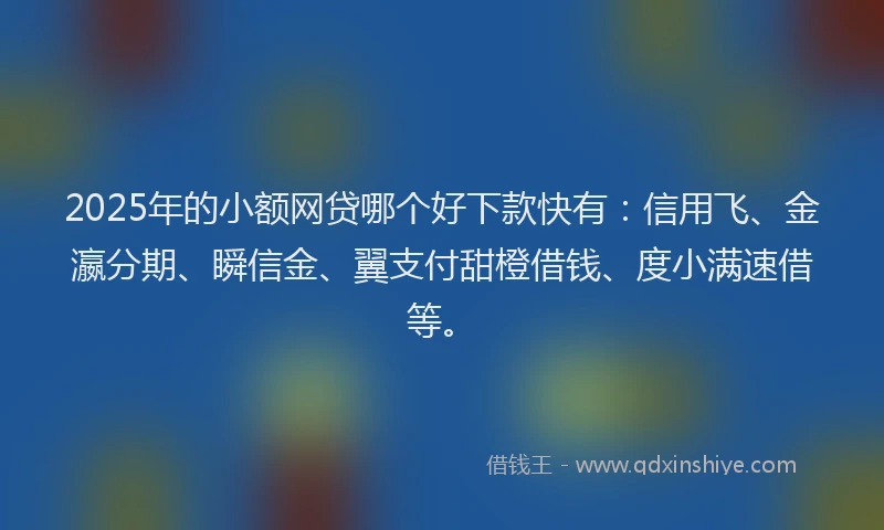 2025年的小额网贷哪个好下款快有：信用飞、金瀛分期、瞬信金、翼支付甜橙借钱、度小满速借等。