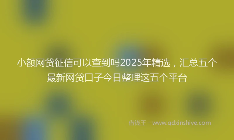 小额网贷征信可以查到吗2025年精选，汇总五个最新网贷口子今日整理这五个平台