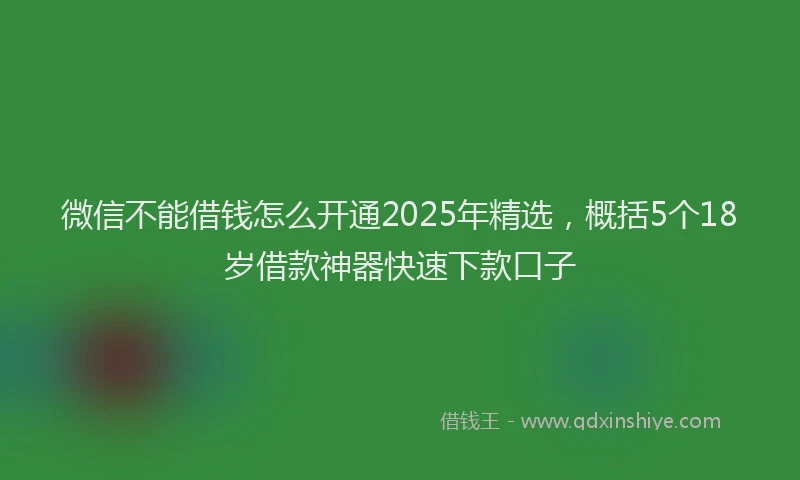 微信不能借钱怎么开通2025年精选，概括5个18岁借款神器快速下款口子