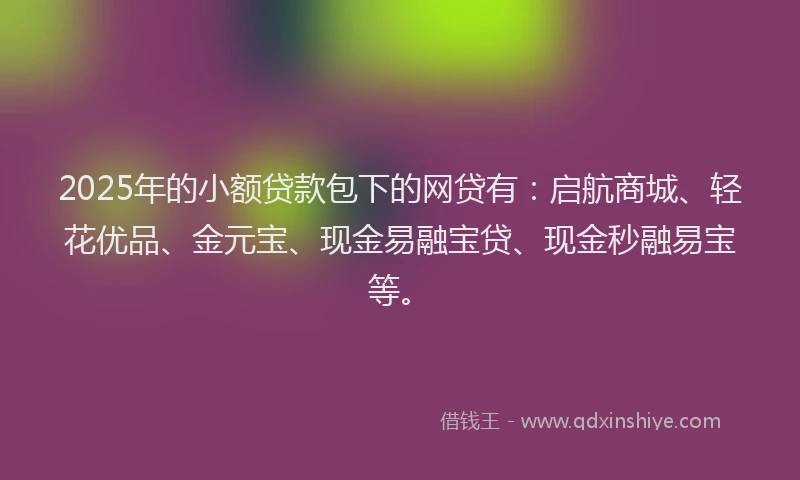 2025年的小额贷款包下的网贷有：启航商城、轻花优品、金元宝、现金易融宝贷、现金秒融易宝等。