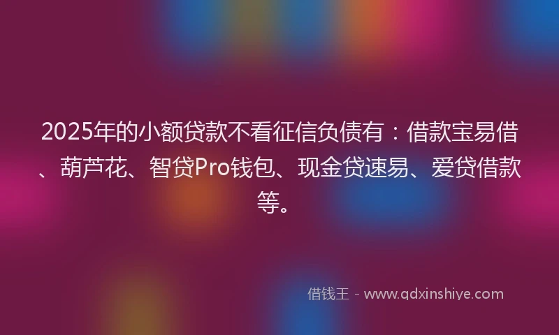 2025年的小额贷款不看征信负债有：借款宝易借、葫芦花、智贷Pro钱包、现金贷速易、爱贷借款等。