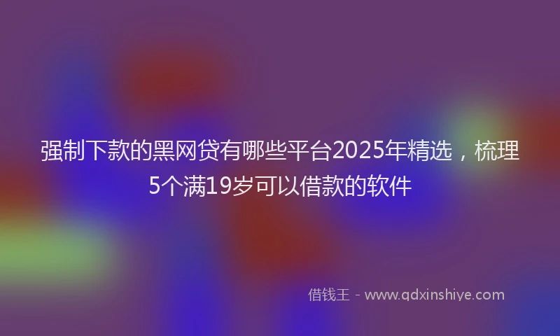 强制下款的黑网贷有哪些平台2025年精选，梳理5个满19岁可以借款的软件