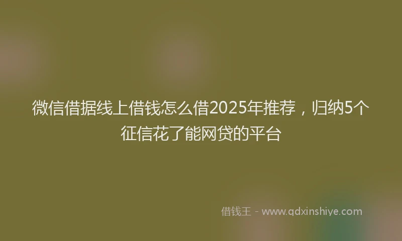 微信借据线上借钱怎么借2025年推荐，归纳5个征信花了能网贷的平台