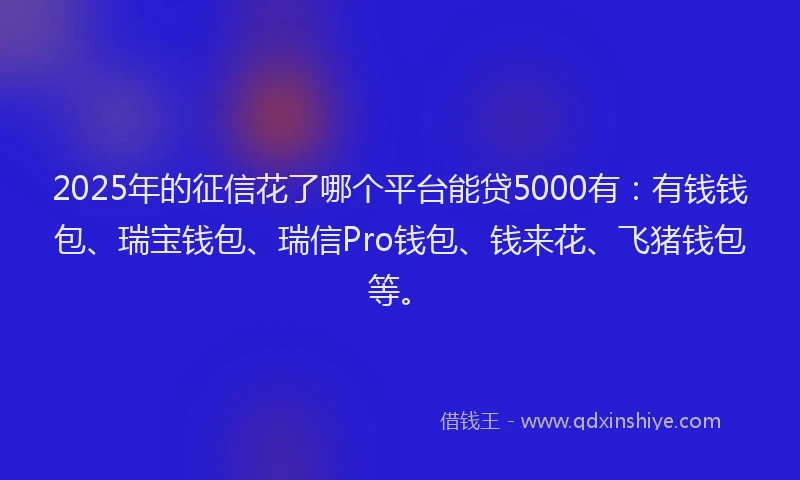 2025年的征信花了哪个平台能贷5000有：有钱钱包、瑞宝钱包、瑞信Pro钱包、钱来花、飞猪钱包等。