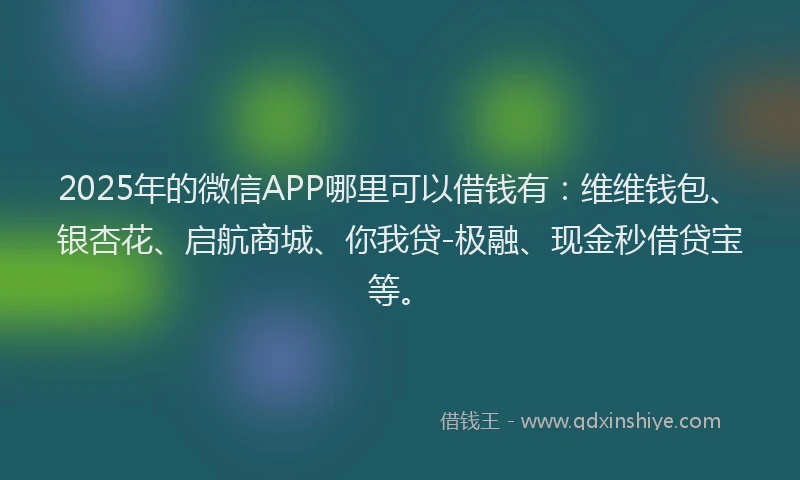 2025年的微信APP哪里可以借钱有：维维钱包、银杏花、启航商城、你我贷-极融、现金秒借贷宝等。