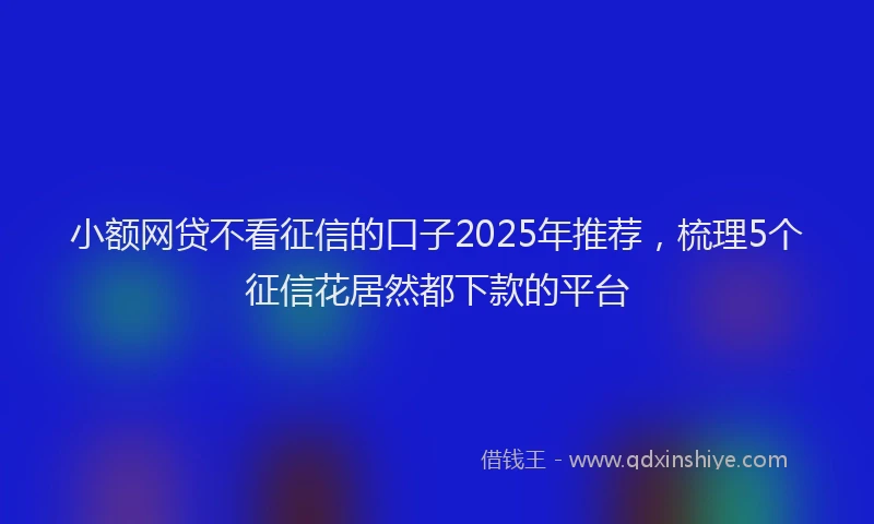 小额网贷不看征信的口子2025年推荐，梳理5个征信花居然都下款的平台