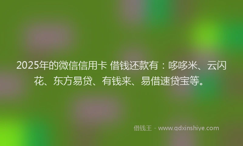 2025年的微信信用卡 借钱还款有：哆哆米、云闪花、东方易贷、有钱来、易借速贷宝等。