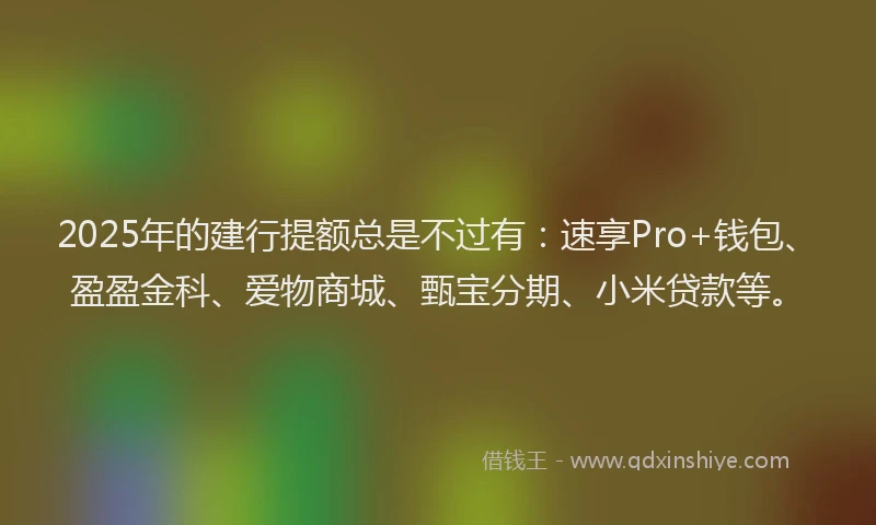 2025年的建行提额总是不过有：速享Pro+钱包、盈盈金科、爱物商城、甄宝分期、小米贷款等。
